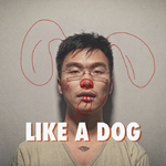 LIKE A DOG专辑