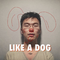 LIKE A DOG专辑