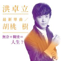 洪卓立 - 胡桃树(原版立体声伴奏)版本2