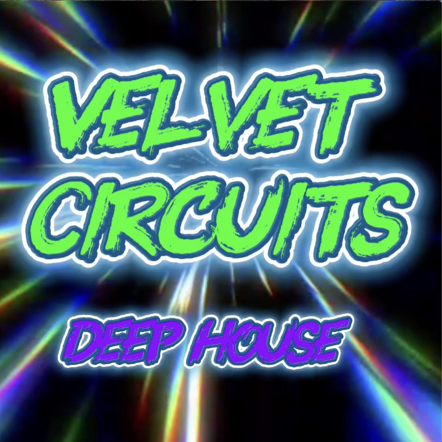 Pulse Beneath the Silk