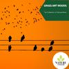 Discover Bliss Nature Music - Peaceful Bonfire