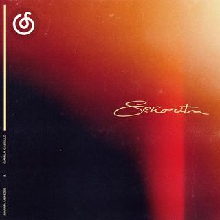 当代节奏布鲁斯精选|从《Señorita》听起