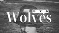 Wolves中文版专辑