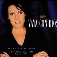 Vaya Con Dios - What\'s A Woman When A Man Don\'t Stand By Her (karaoke)