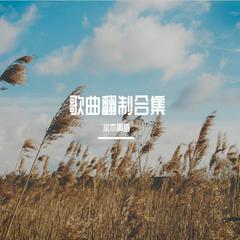 歌曲翻制合集