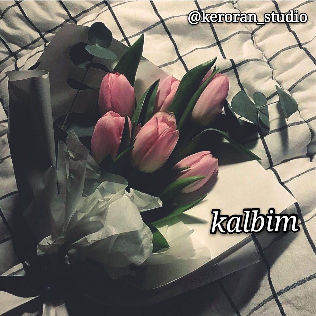 kalbim专辑