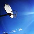 Triple Double