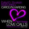 David Shaw - When Love Calls (Essential Rhythm Radio Edit +)