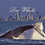 Lost Whales专辑