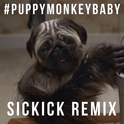 PuppyMonkeyBaby