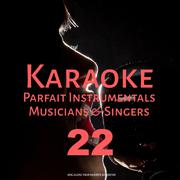 Karaoke Parfait Instrumentals Musicians & Singers, Vol. 22专辑