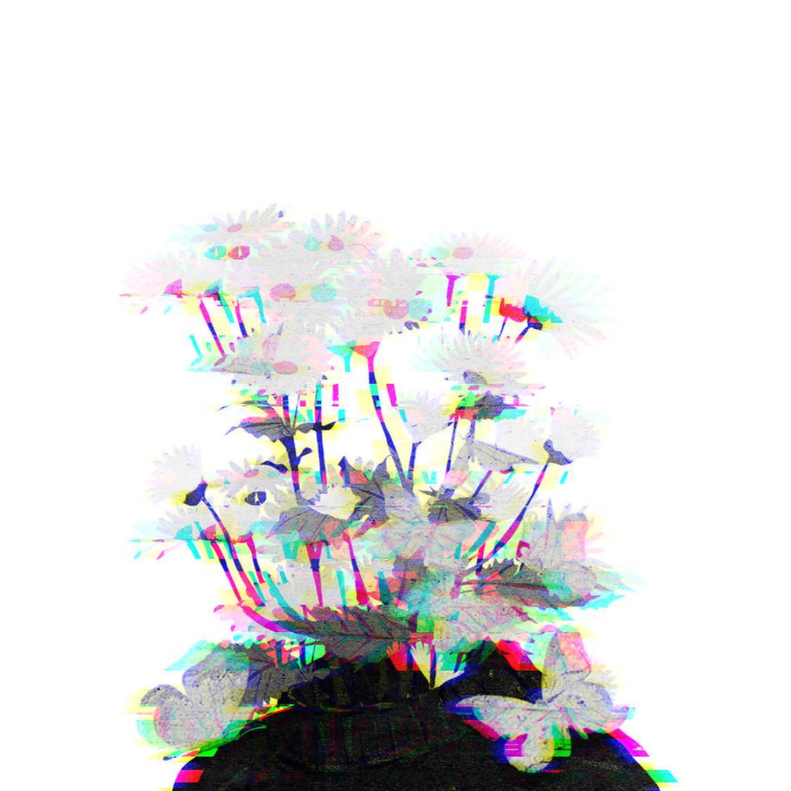 [FREE]''We shouldn't''