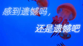 感到遗憾吗 还是遗憾吧专辑