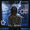 YZJ - The Kid LAROI-STAY(YZJ Remix)（YZJ remix）