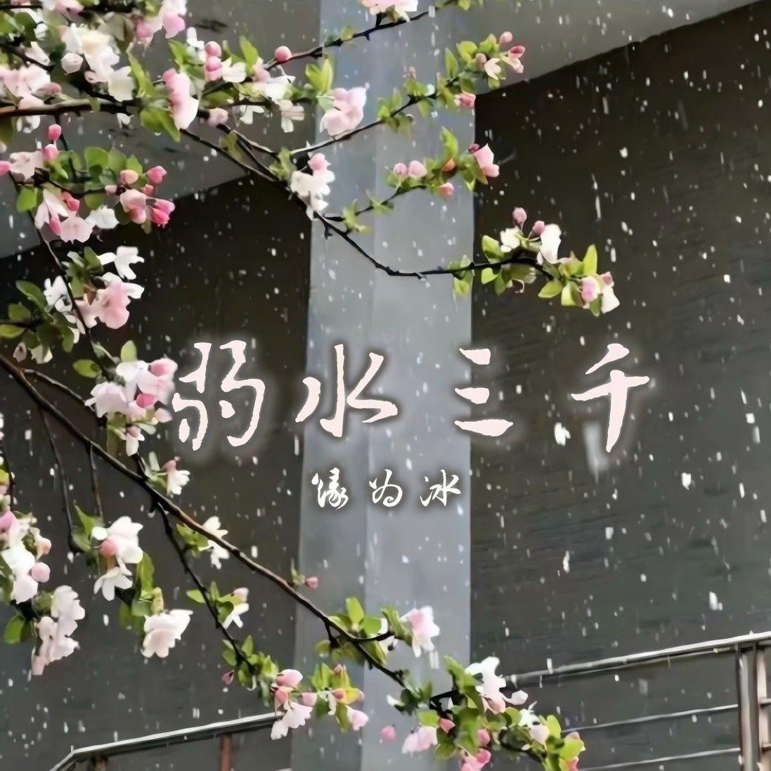 弱水三千(DJ版)