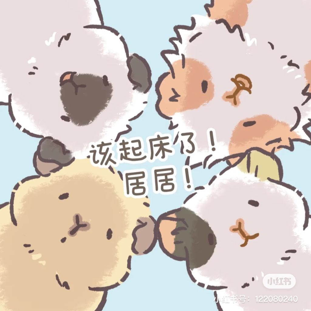 【练舞自用分享】有会员的我又回来了
