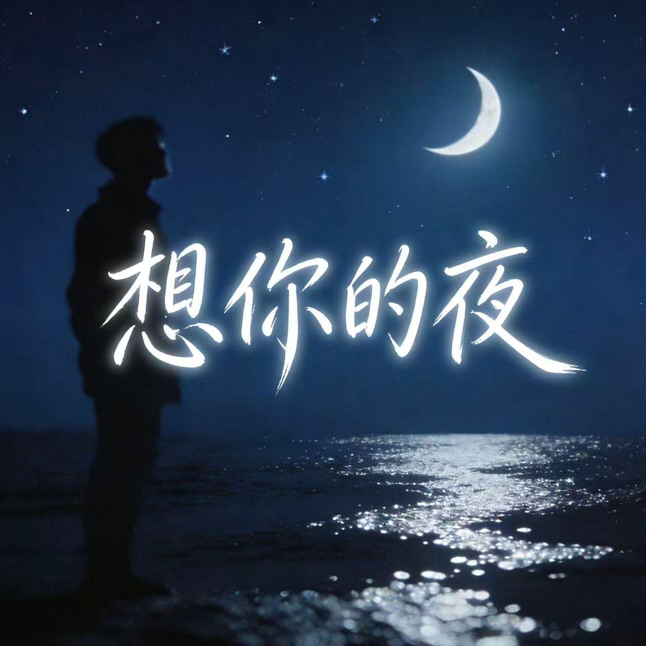 想你的夜Rnb版
