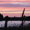 Muted Colors