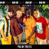 Rak-Su - Palm Trees