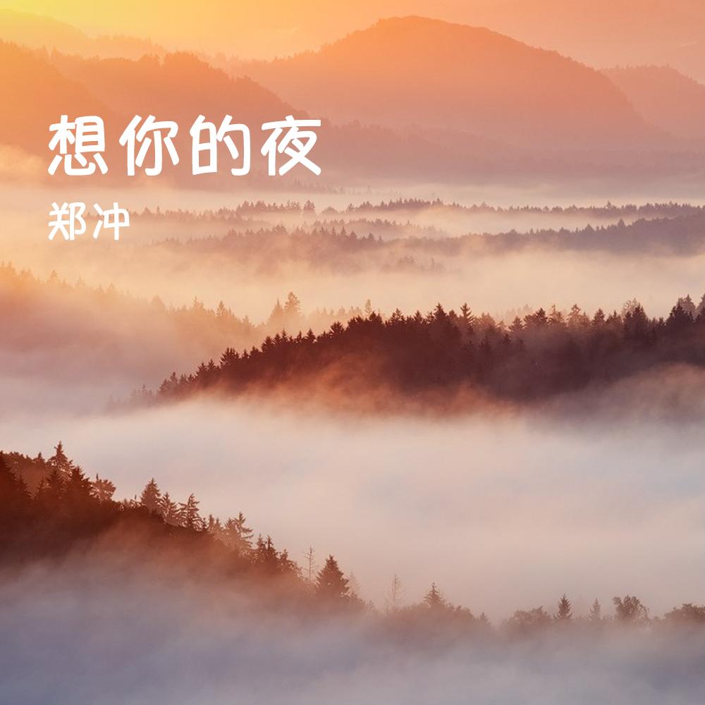 想你的夜