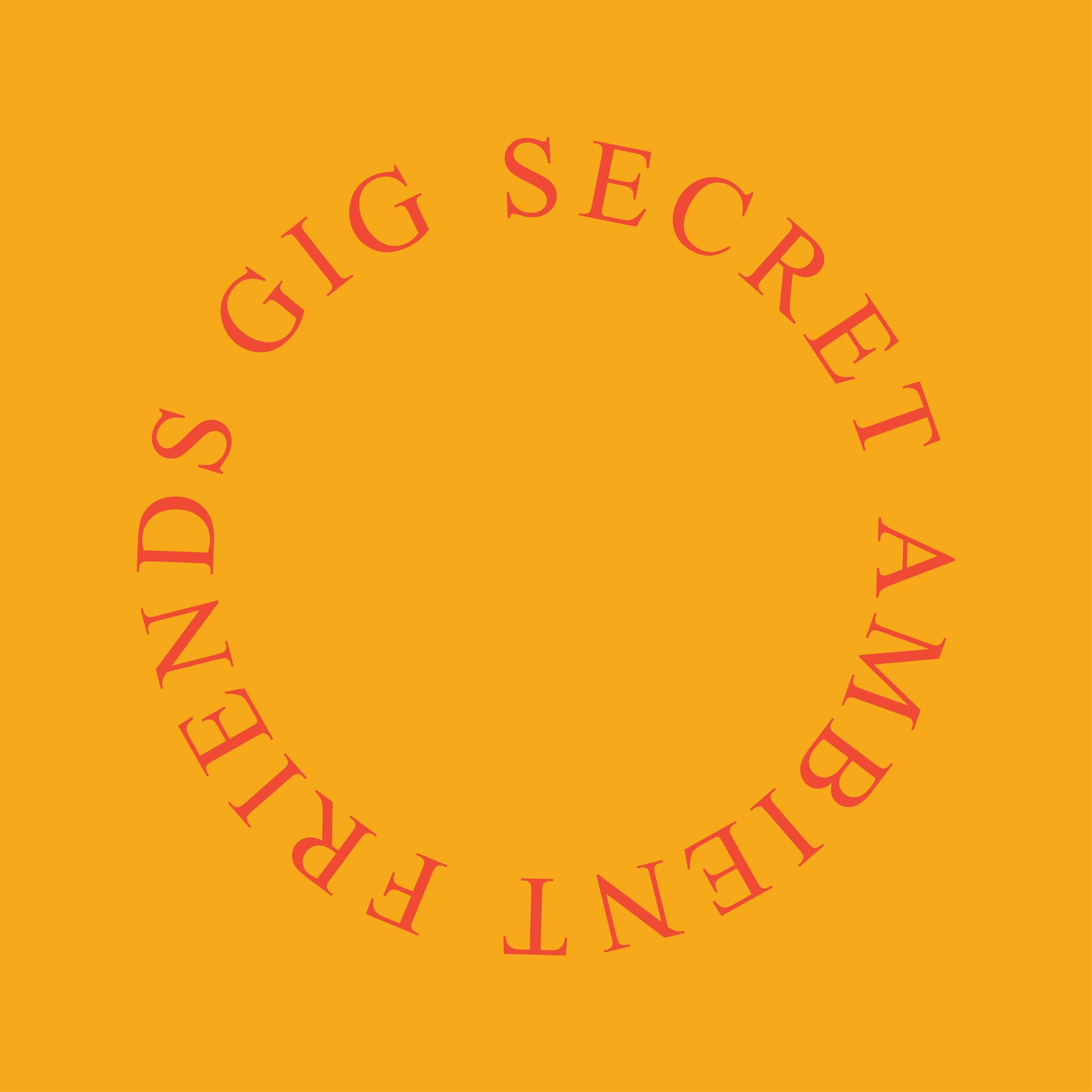 Secret Ambient Friends Gig