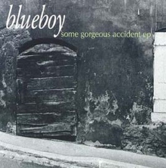 Some.Gorgeous.Accident