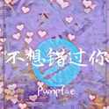 不想错过你专辑
