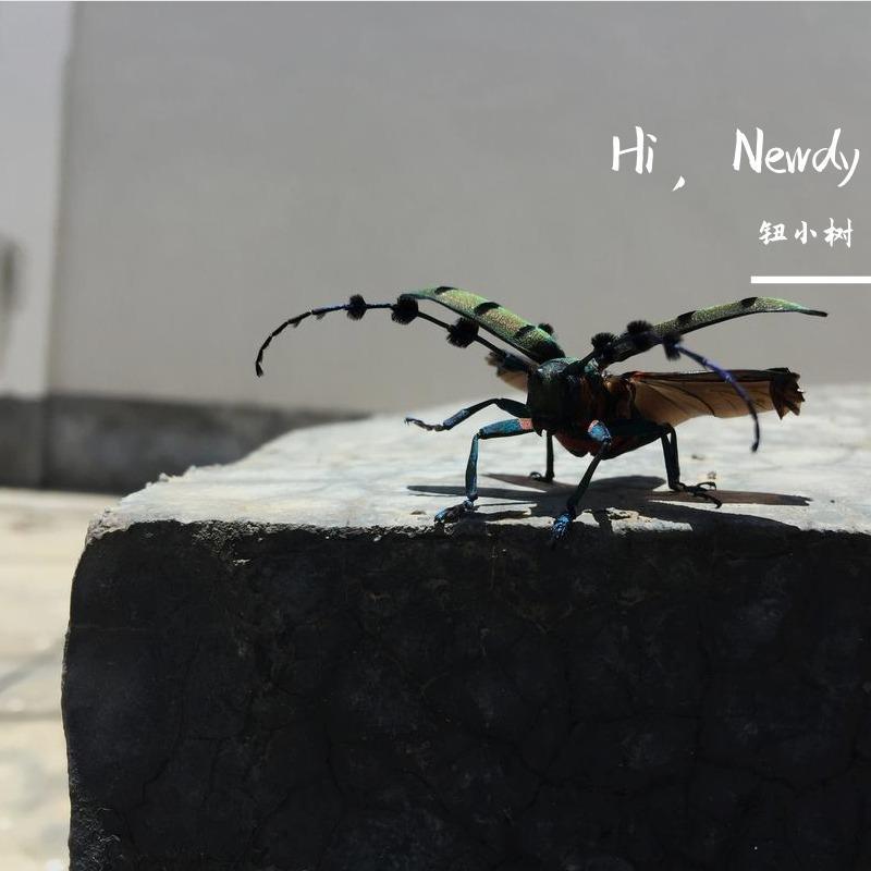 Hi,Newdy