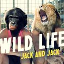 Wild Life专辑