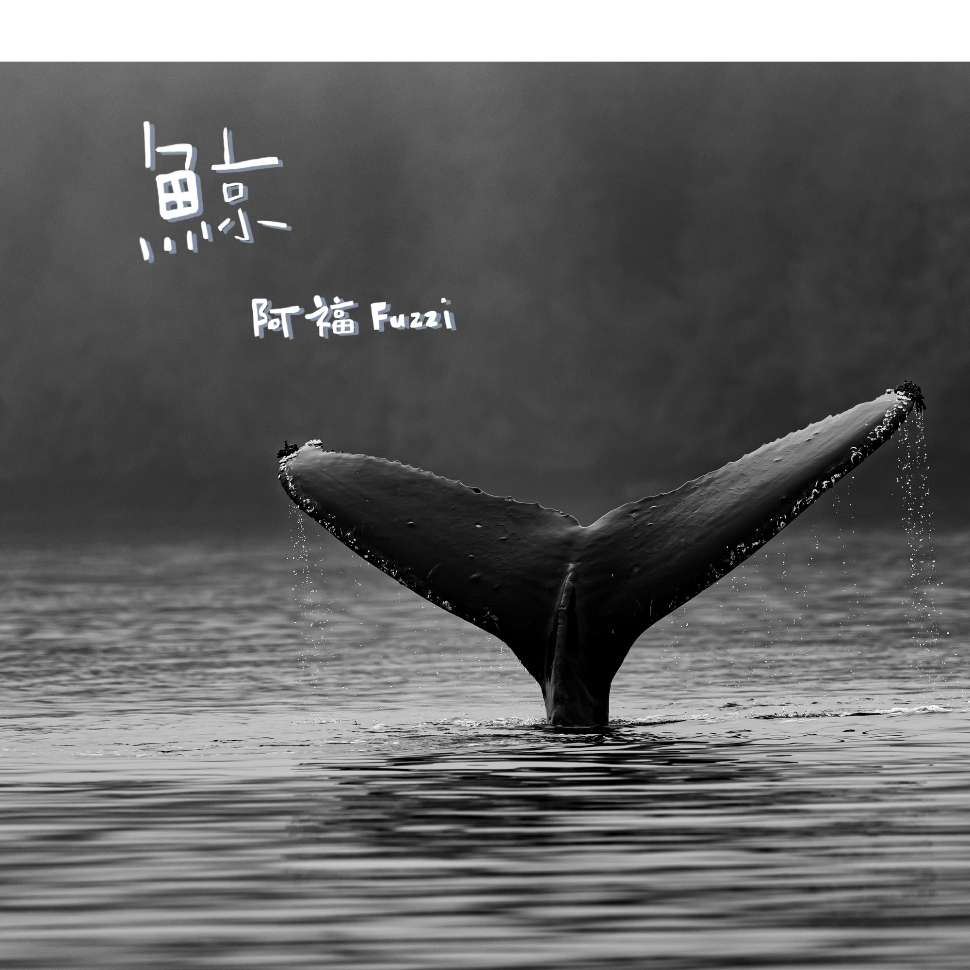 鲸