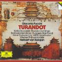 Puccini: Turandot专辑