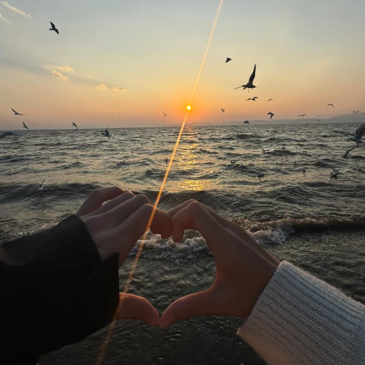 你总是盘旋在我脑海里面