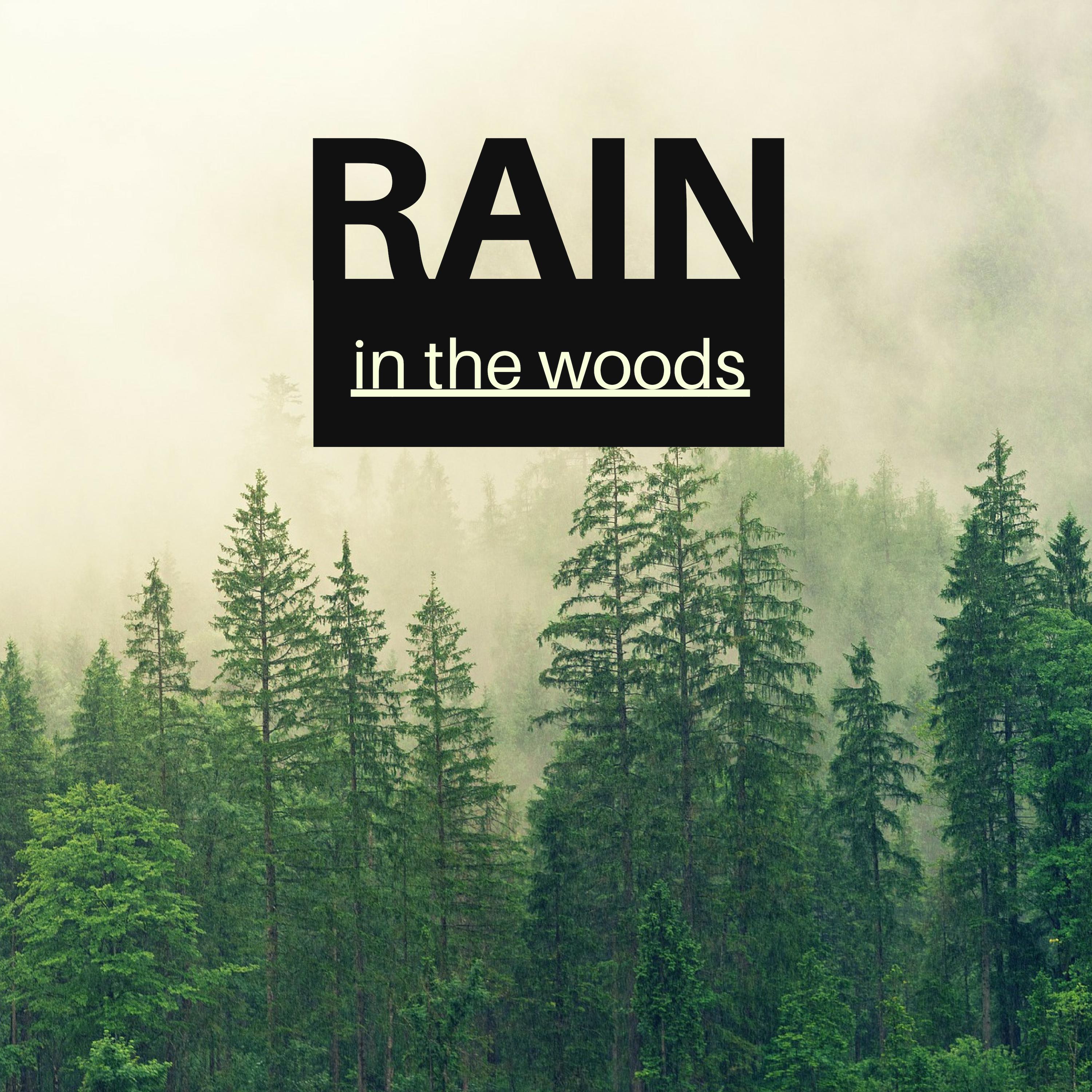 Rain in the Woods - Soft Raindrop, Quiet & Distant Thunder for Deep Relaxation专辑