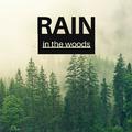 Rain in the Woods - Soft Raindrop, Quiet & Distant Thunder for Deep Relaxation