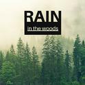 Rain in the Woods - Soft Raindrop, Quiet & Distant Thunder for Deep Relaxation专辑