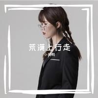荒漠上行走