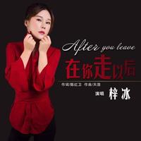 梓冰-在你走以后(原版立体声伴奏)