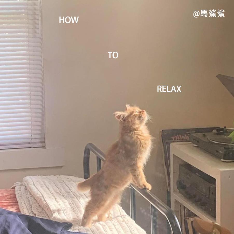 下雨天，赖床到下午 - 马鲨鲨