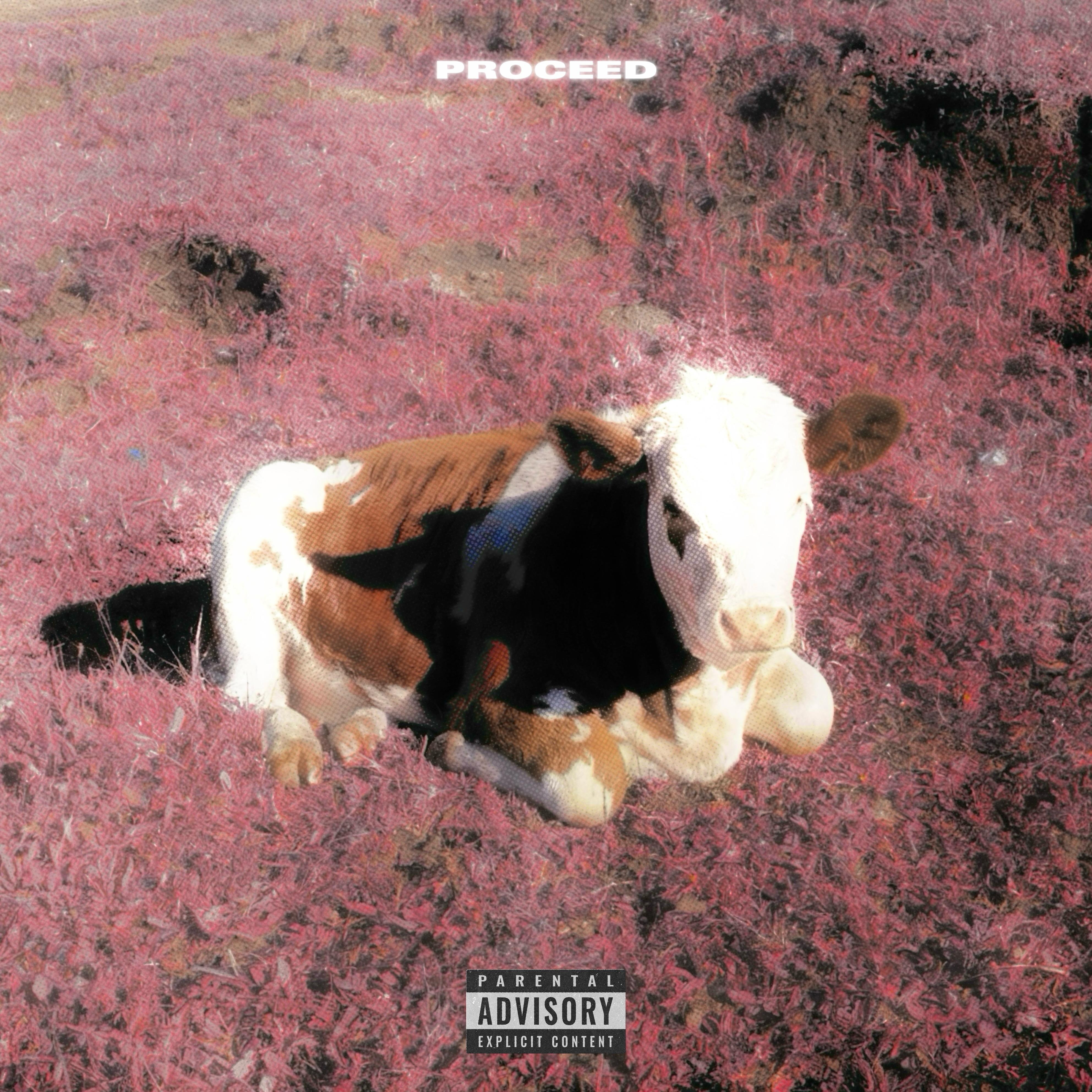 love blaze (ft. Lellow)