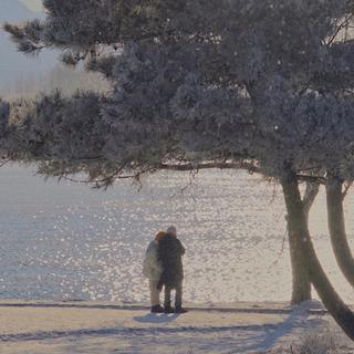 冬｜我们会有机会一起看雪吗