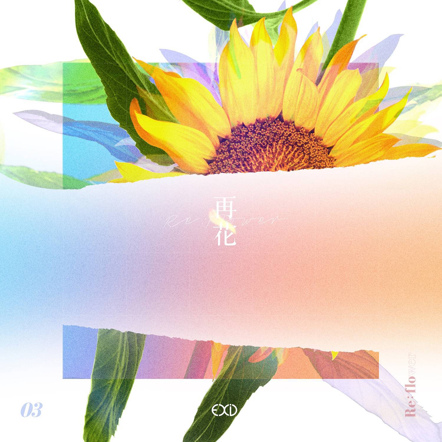 [Re:flower] PROJECT #3专辑