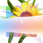 [Re:flower] PROJECT #3专辑