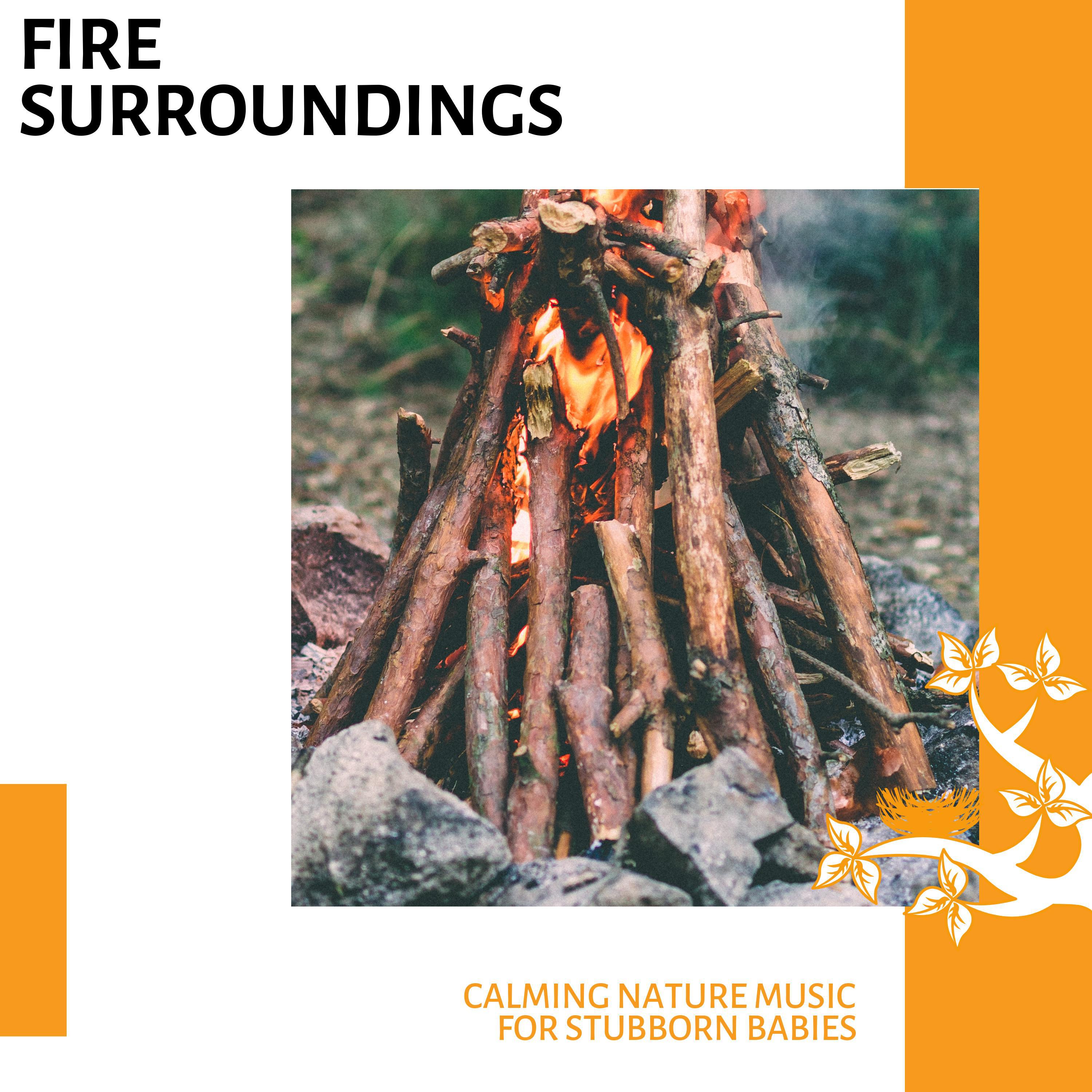 Bubble Tender Nature Music Project - Campfire and Crickets Audio