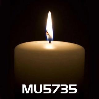321东航mu5735空难祭
