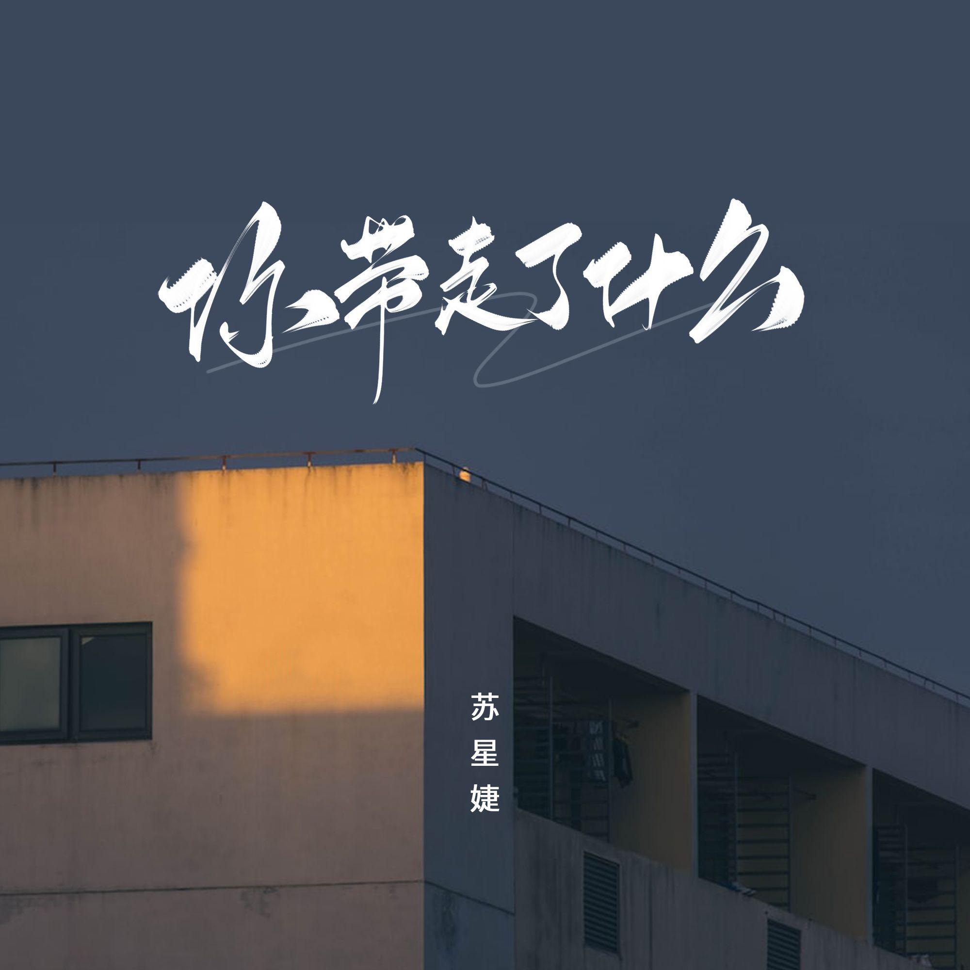 你带走了什么