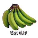 『血腥·我马上就要断气·爱情·高音真的上不去·故事』专辑