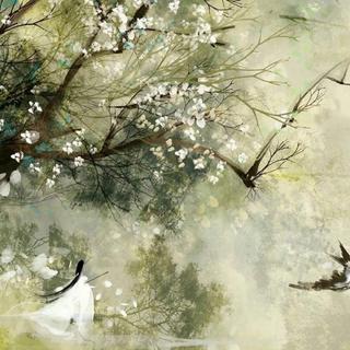 『古风纯音』无字歌唱的空灵