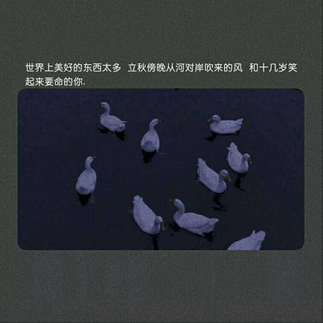 陷在着漩涡之间