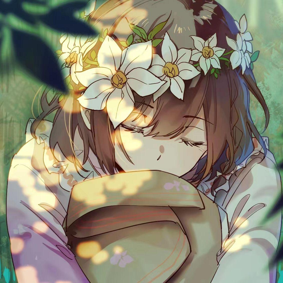 不是花火呀