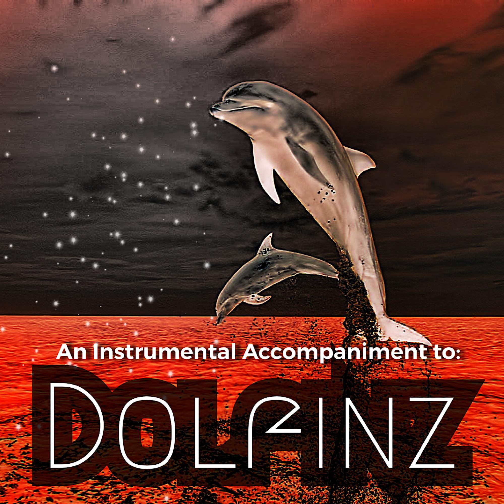 An Instrumental Accompaniement To: Dolfinz